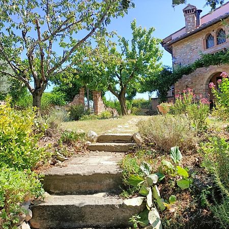 Nido Di Rondine Apartamento Montespertoli Exterior foto