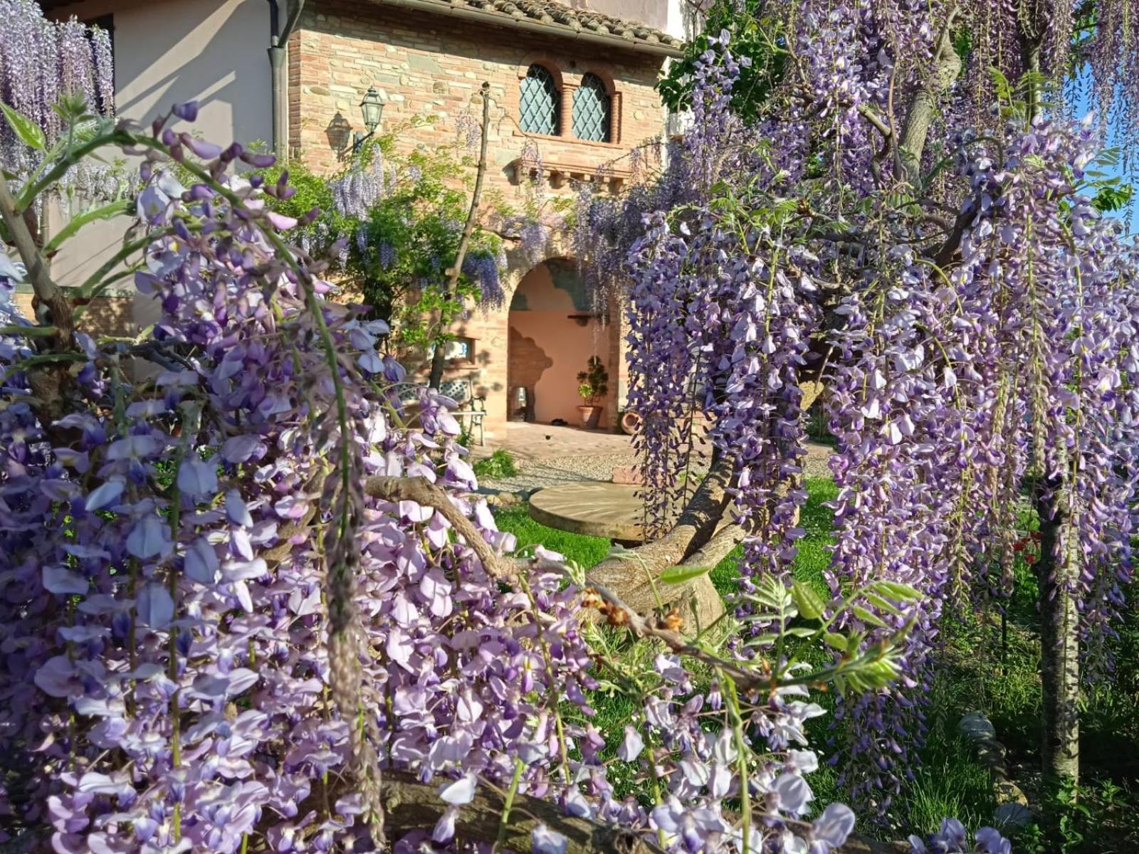 Nido Di Rondine Apartamento Montespertoli Exterior foto