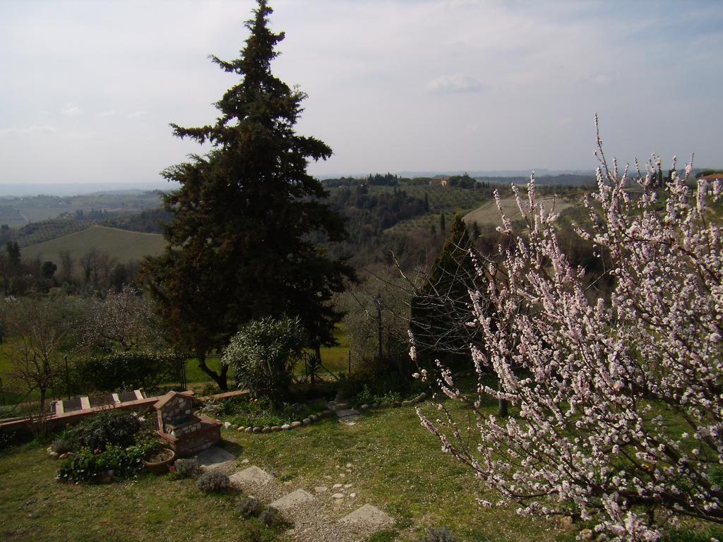 Nido Di Rondine Apartamento Montespertoli Exterior foto