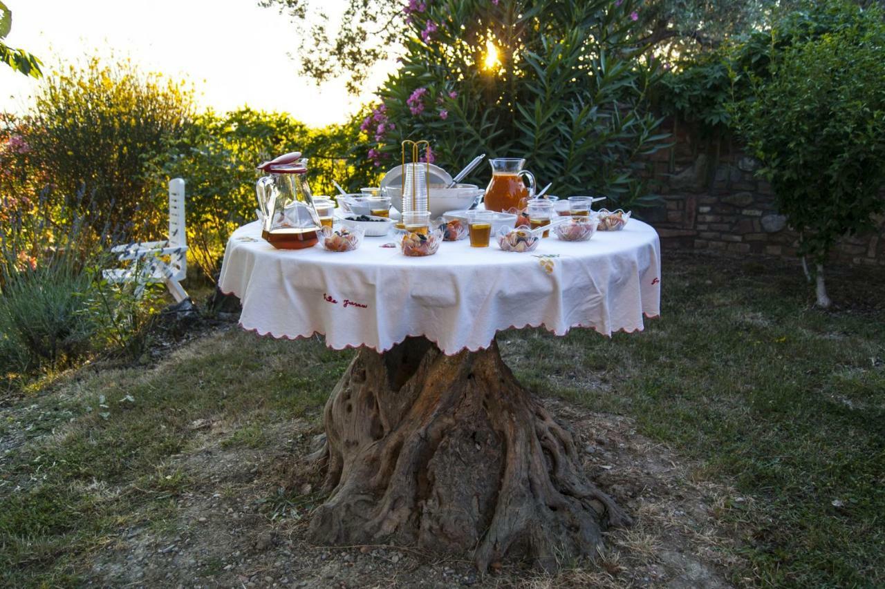 Nido Di Rondine Apartamento Montespertoli Quarto foto