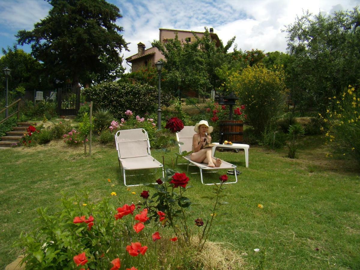Nido Di Rondine Apartamento Montespertoli Exterior foto