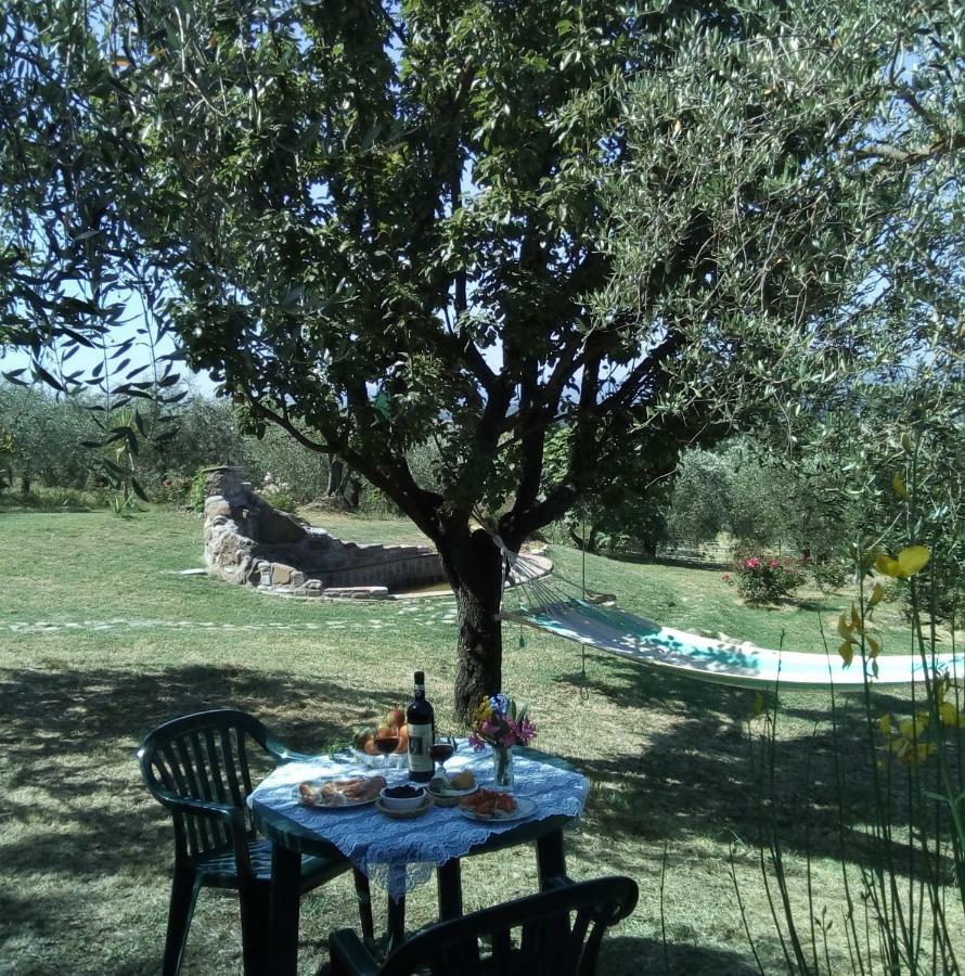 Nido Di Rondine Apartamento Montespertoli Exterior foto